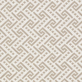 Schumacher Ionic Weave Dune Fabric