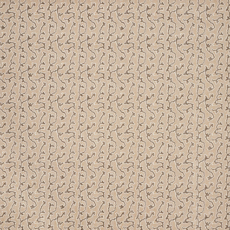 Schumacher Corail Velvet Champagne Fabric