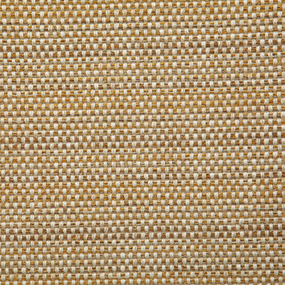 Pindler BALCONY GOLDEN 7717 Fabric - Fabric Collection