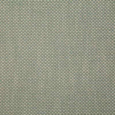 Pindler PLAZA FERN 7719 Fabric - Fabric Collection