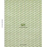 Schumacher Dazzle Ship Velvet Verdant Fabric
