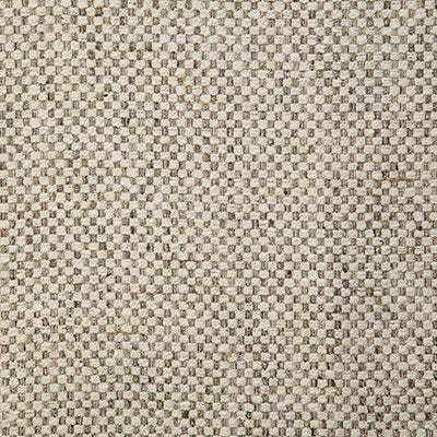 Pindler NASH ASH 7735 Fabric - Fabric Collection