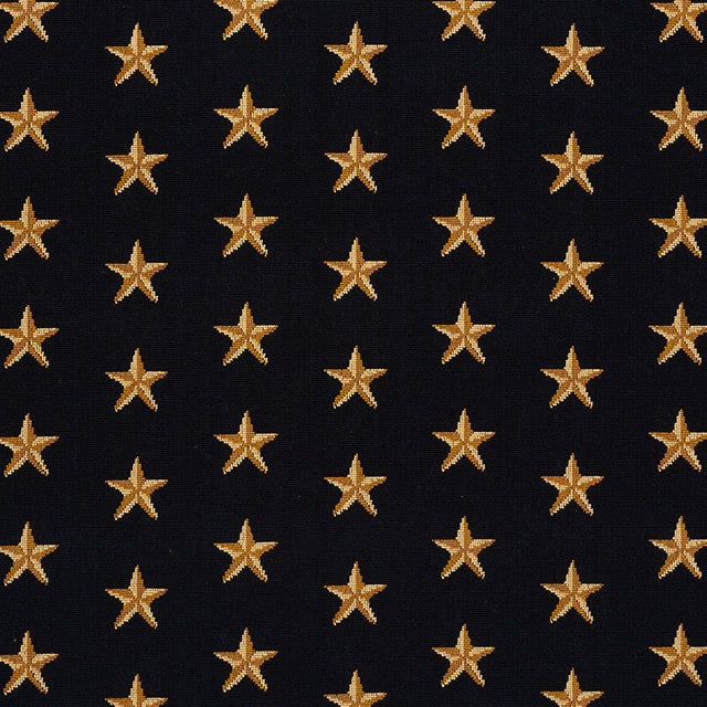 Schumacher Star Épinglé Black Fabric - Eade's Wallpaper