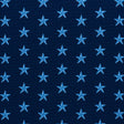 Schumacher Star Épinglé Blue Fabric - Eade's Wallpaper