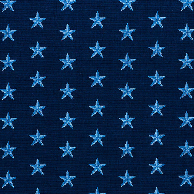 Schumacher Star Épinglé Blue Fabric - Eade's Wallpaper