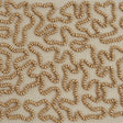 Schumacher 77481 VERMICELLI BEADED TAPE in GOLD Trim - RIVE 