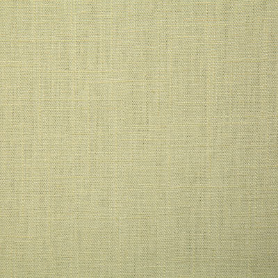 Pindler WALTER SPRING 7751 Fabric - Fabric Collection