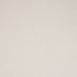 Schumacher Albert Performance Cotton Stone Fabric