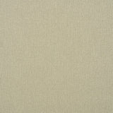 Schumacher Albert Performance Cotton Flax Fabric