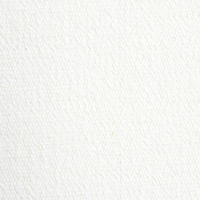 Schumacher Albert Performance Cotton White Fabric