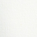 Schumacher Albert Performance Cotton White Fabric