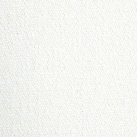 Schumacher Albert Performance Cotton White Fabric