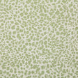 Pindler KITA MEADOW 7780 Fabric - Fabric Collection