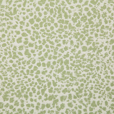 Pindler KITA MEADOW 7780 Fabric - Fabric Collection