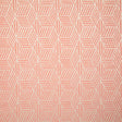 Pindler CLEMSON PERSIMMON 7786 Fabric - Fabric Collection