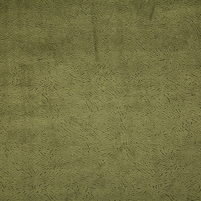 Pindler MULTON MOSS 7798 Fabric - Fabric Collection