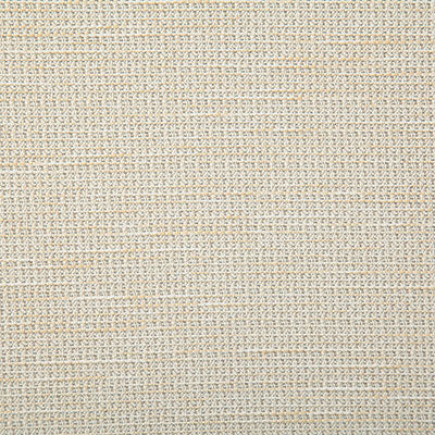 Pindler ROVER ALABASTER 7802 Fabric - Fabric Collection
