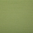 Pindler ROVER KIWI 7802 Fabric - Fabric Collection