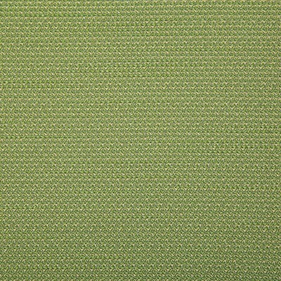 Pindler ROVER KIWI 7802 Fabric - Fabric Collection