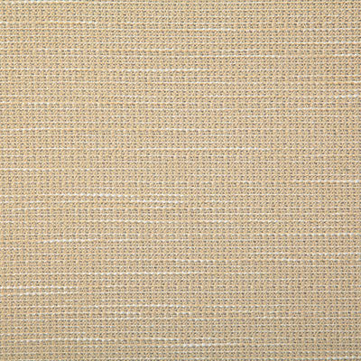 Pindler ROVER STRAW 7802 Fabric - Fabric Collection