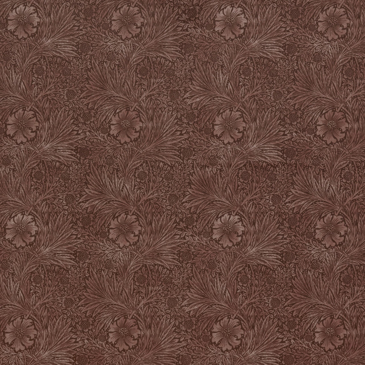 Eade's 7864-1-sample MERLOT