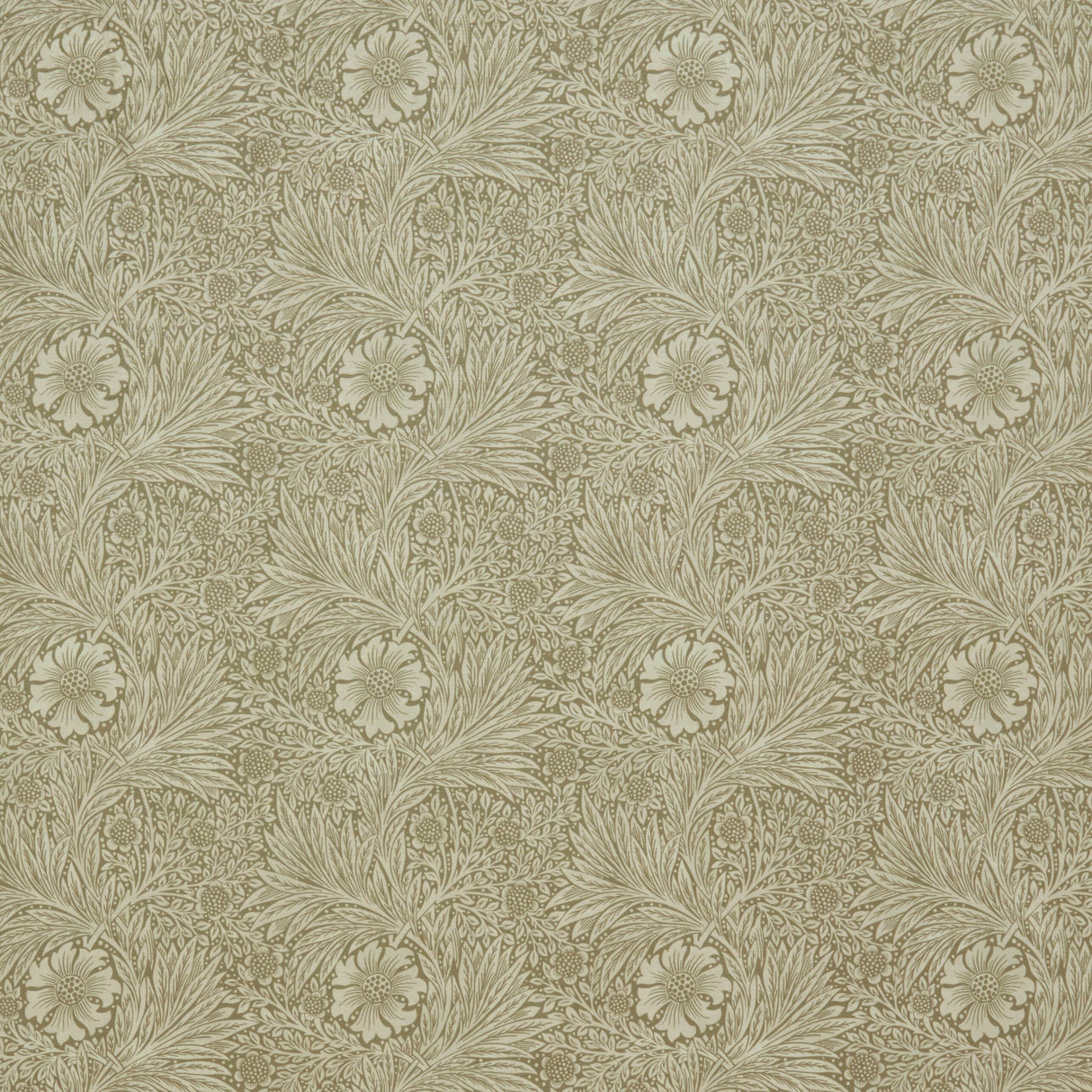 Eade's 7864-5-sample BRAN
