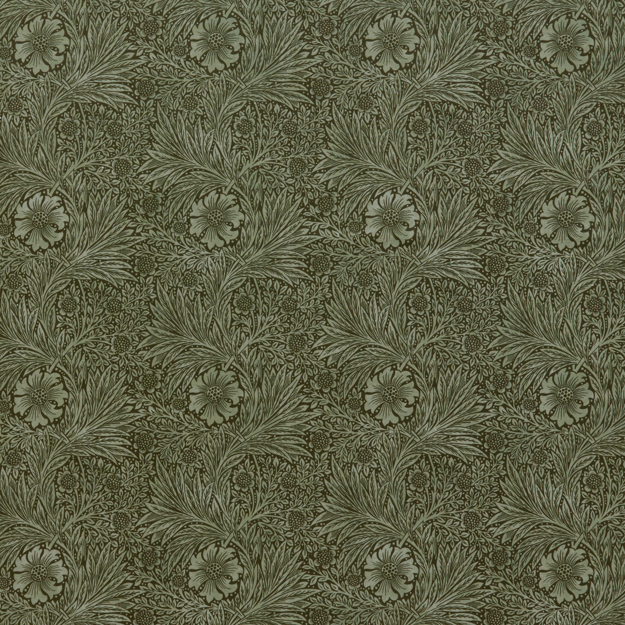 Eade's 7864-7-sample OLIVE