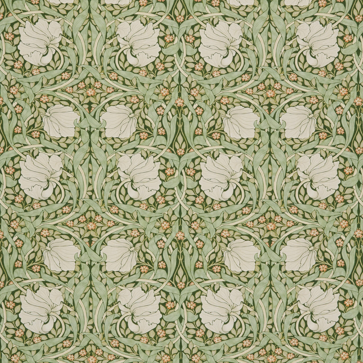 Eade's 7865-4-sample DILL