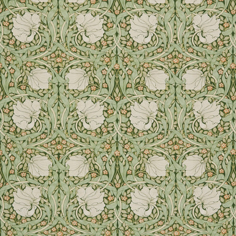 Eade's 7865-4-sample DILL