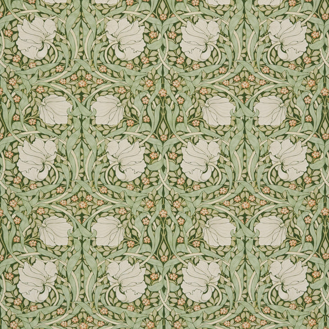 Eade's 7865-4-sample DILL