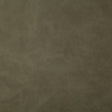 Pindler YEEHAW PUTTY 7878 Fabric - Fabric Collection
