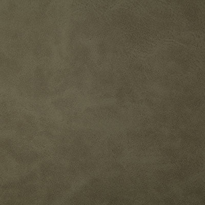 Pindler YEEHAW PUTTY 7878 Fabric - Fabric Collection