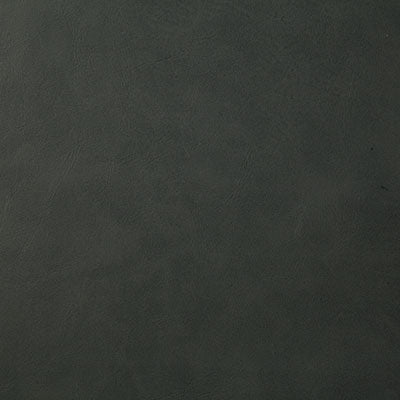 Pindler YEEHAW THUNDER 7878 Fabric - Fabric Collection
