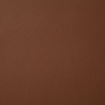 Pindler HOWDY COGNAC 7879 Fabric - Fabric Collection