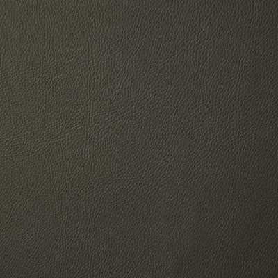 Pindler HOWDY MOSS 7879 Fabric - Fabric Collection