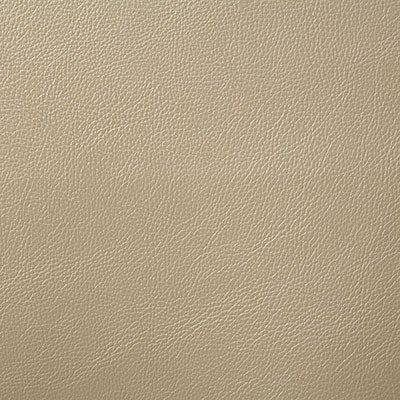 Pindler HOWDY PEARL 7879 Fabric - Fabric Collection