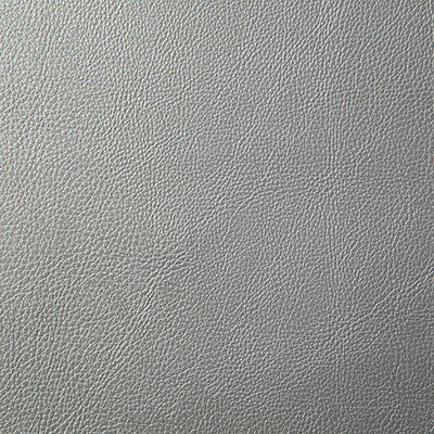 Pindler HOWDY SILVER 7879 Fabric - Fabric Collection