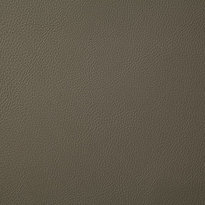Pindler HOWDY TAUPE 7879 Fabric - Fabric Collection