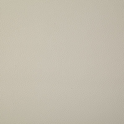 Pindler HOWDY WHITE 7879 Fabric - Fabric Collection