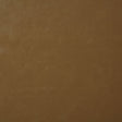 Pindler BONANZA BUTTERSCOTCH 7880 Fabric - Fabric Collection