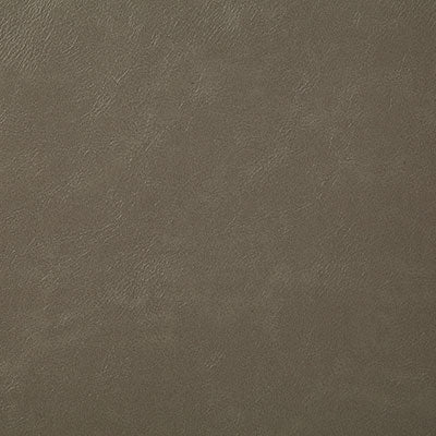 Pindler BONANZA MUSHROOM 7880 Fabric - Fabric Collection