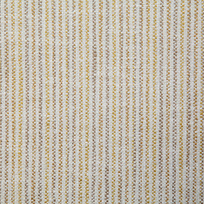 Pindler ONZA SOLEIL 7892 Fabric - Fabric Collection
