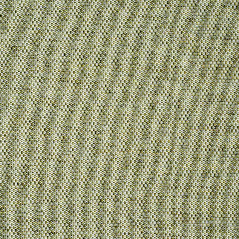 Schumacher Momo Hand Woven Texture Fern Fabric - Eade's Wallpaper