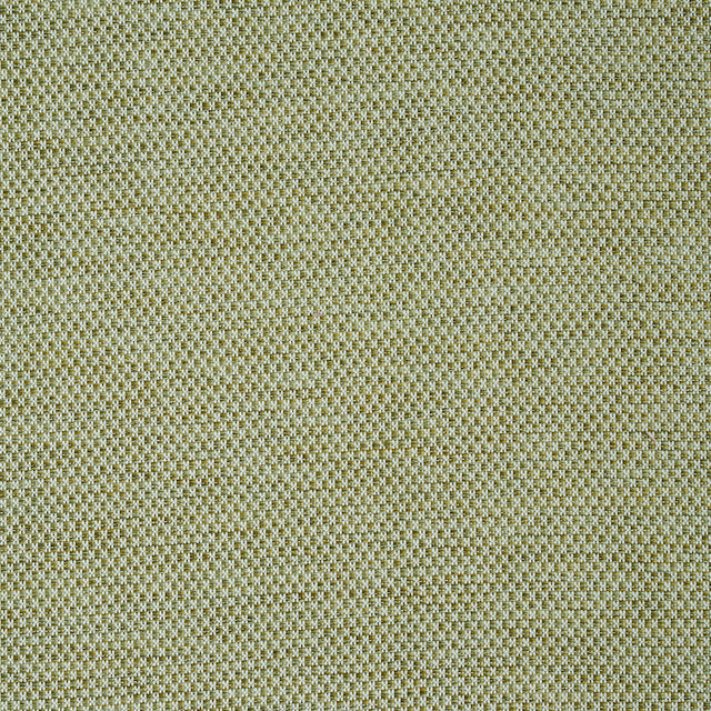 Schumacher Momo Hand Woven Texture Fern Fabric - Eade's Wallpaper