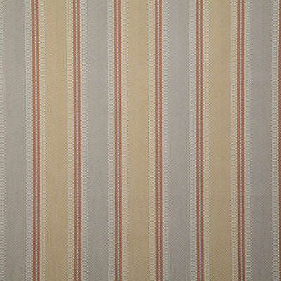 Pindler BADRA SOLEIL 7893 Fabric - Fabric Collection