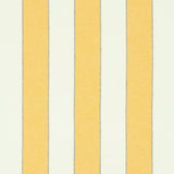 Schumacher Blumont Stripe Indoor/Outdoor Yellow Fabric