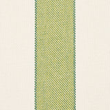 Schumacher Blumont Stripe Indoor/Outdoor Green Fabric