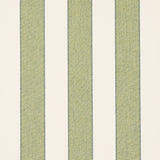 Schumacher Blumont Stripe Indoor/Outdoor Green Fabric
