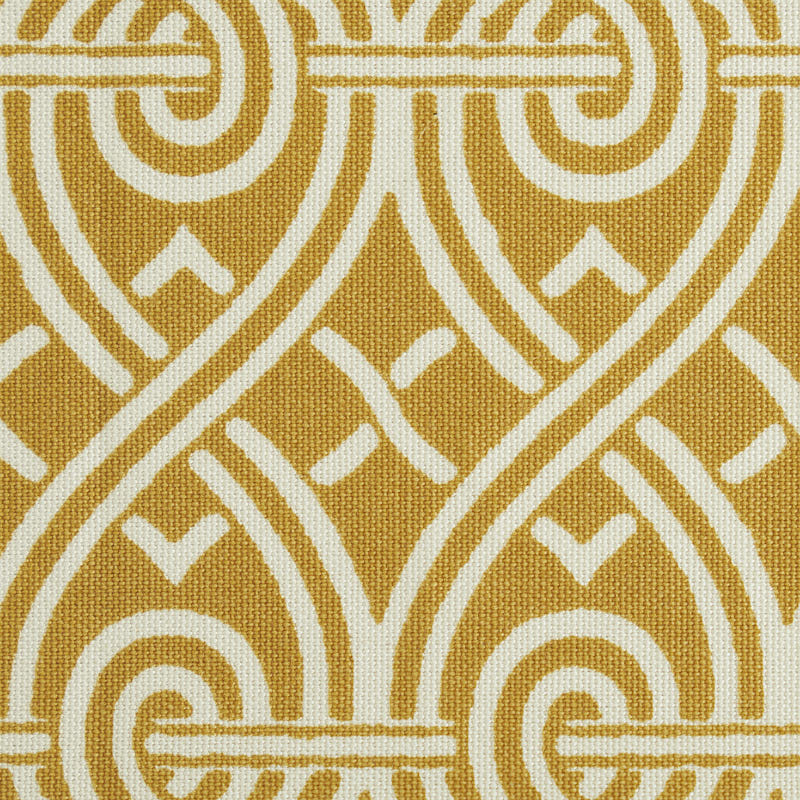 Schumacher 79132 SUZETTE TAPE in GOLD Trim - JILL LASERSOHN