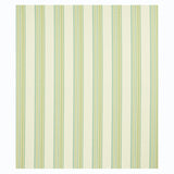 Schumacher Bendita Stripe Indoor/Outdoor Leaf Fabric